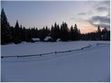 Zgornji Goreljek - Javorov vrh (Pokljuka)